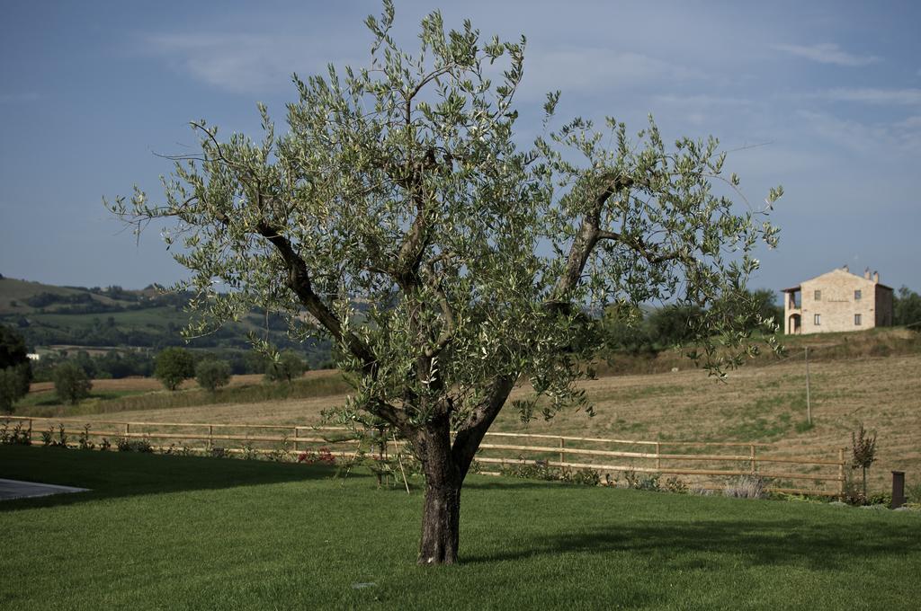 Moresco Agriturismo エクステリア 写真