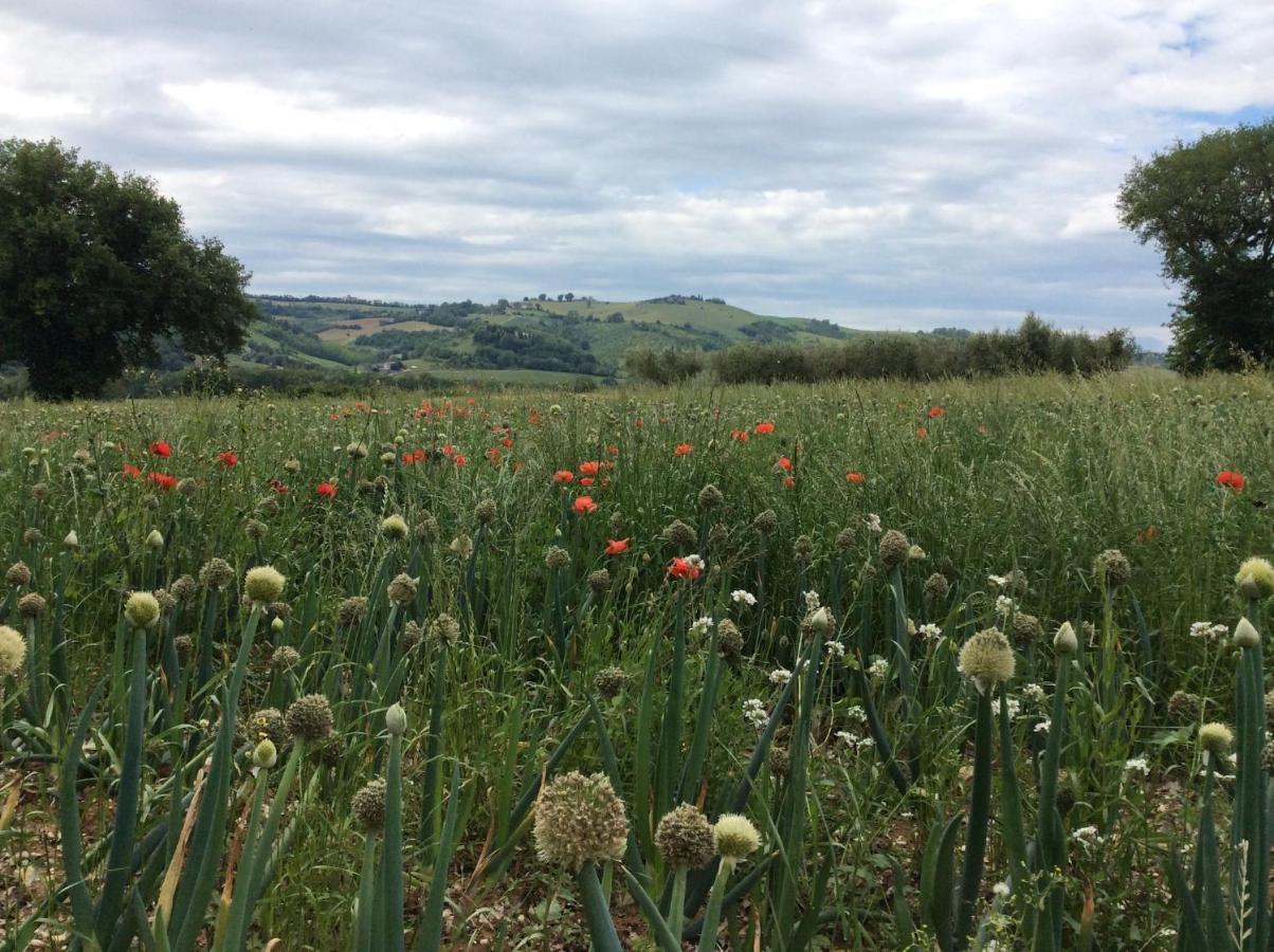 Moresco Agriturismo エクステリア 写真